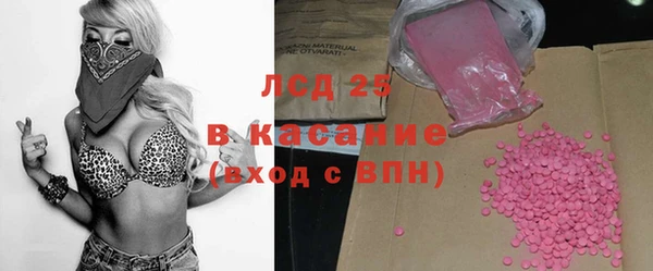 ГАЛЛЮЦИНОГЕННЫЕ ГРИБЫ Каменка