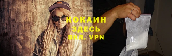 ГАЛЛЮЦИНОГЕННЫЕ ГРИБЫ Каменка
