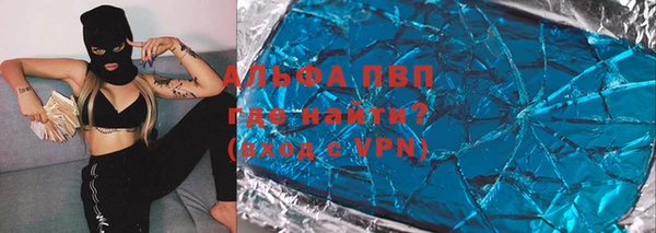 ГАЛЛЮЦИНОГЕННЫЕ ГРИБЫ Каменка