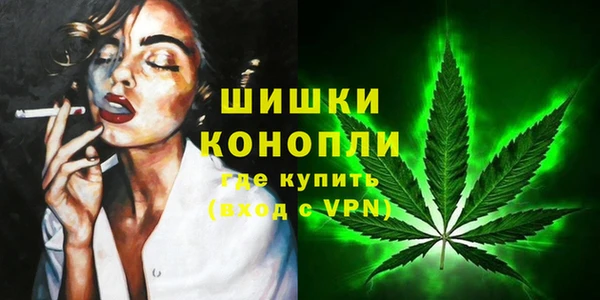 ГАЛЛЮЦИНОГЕННЫЕ ГРИБЫ Каменка