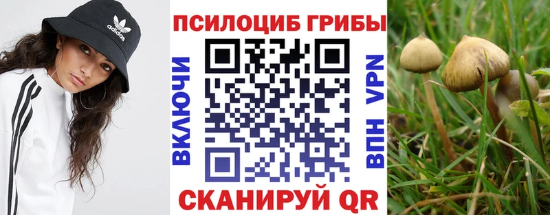 Галлюциногенные грибы Magic Shrooms ОМГ ОМГ как зайти Терек