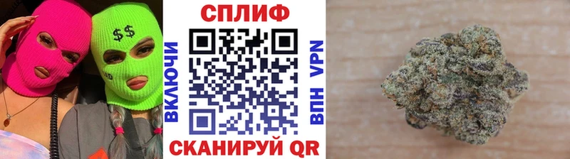 Каннабис план  Терек 